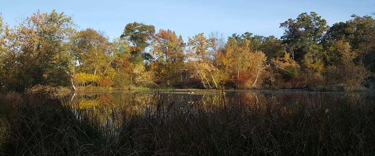 Revolving Land Program Ducks Unlimited